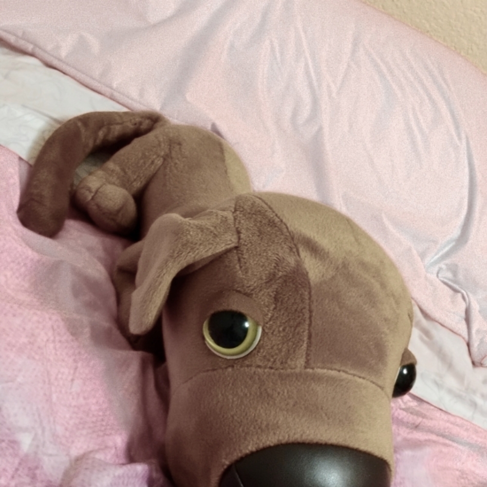 I'm selling my dog stuffed animal just so you know thanks